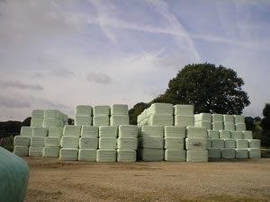 Stacks of wrapped square haylage bales