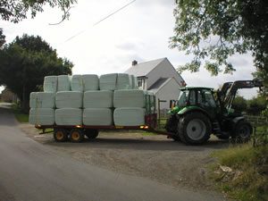 Trailer loaded with wrapped square bales